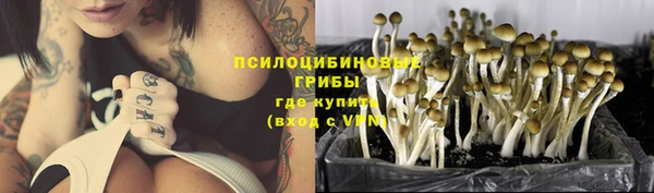 PSILOCYBIN Богданович