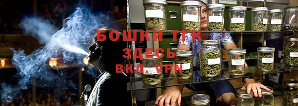 mix Богородицк