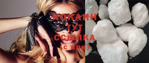 mix Богородицк