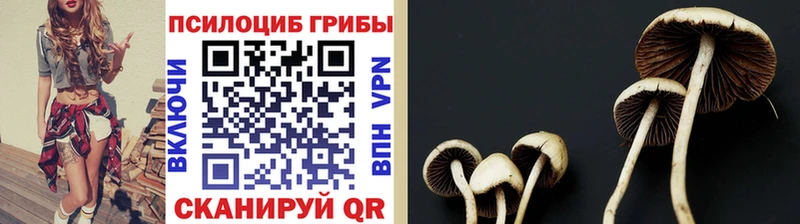 Псилоцибиновые грибы мухоморы  Реж 