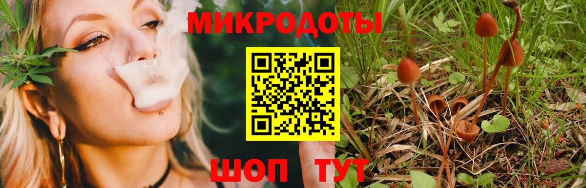 Реж  Галлюциногенные грибы GOLDEN TEACHER  Вход с VPN 